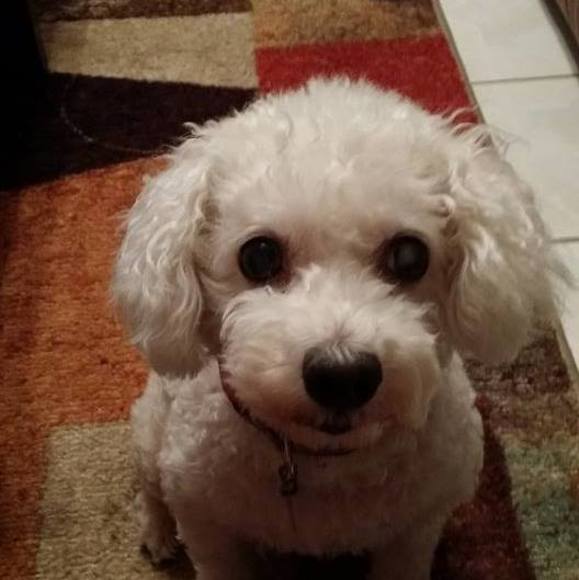 Meet your Posher, Diane - Picture 1 of 1